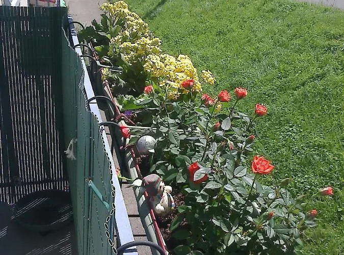 International * 旺德夫尔莱南锡