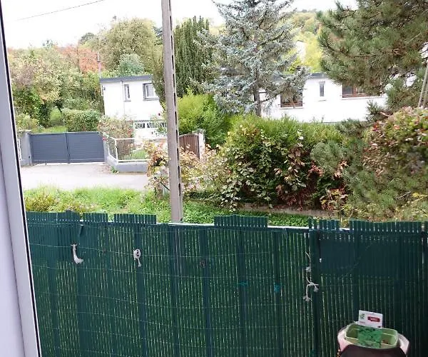 International * 旺德夫尔莱南锡