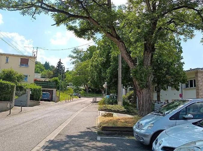 International * 旺德夫尔莱南锡